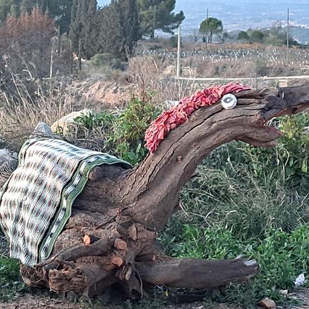 Ca La Maria Villa Lilla Dış mekan fotoğraf